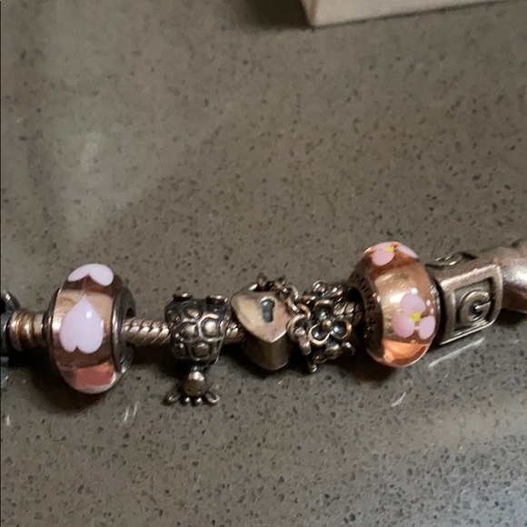 Authentic Pandora Bracelet and Charms - Picture 2 of 5